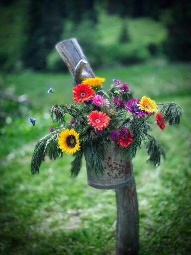 Vaso di fiori colorati appoggiato su un tronco di legno in un ambiente naturale.