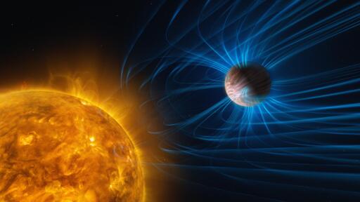 Questa illustrazione mostra l'attività magnetica di un esopianeta. Il pianeta è un gigante gassoso simile a Giove, ma si trova molto vicino alla sua stella ospite ed è in rotazione sincrona: un lato è sempre rivolto verso la stella ed è rovente, mentre l'altro è estremamente freddo. Questo forte sbalzo di temperatura genera venti veloci che soffiano dal lato diurno verso quello notturno. Il campo magnetico del pianeta, qui rappresentato con linee blu, è in grado di rallentare questi venti.