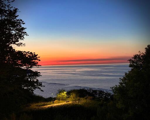 Spiaggia al tramonto con cielo colorato e silenziosa, vista tra gli alberi e illuminata da luci notturne.