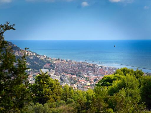 Vista di una costa con case, mare azzurro e cielo con alcune nuvole e un gabbiano (?) in volo