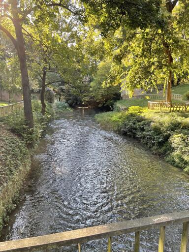 Scorcio dell’interno del Parco Treves a Padova. In primo piano corso d’acqua corrente ripresa da uno dei ponticcioli interni. Ai lati vegetazione rigogliosa.