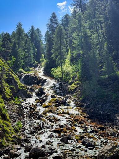 Cascata di montagna nella foresta verde sotto un cielo blu con poche nuvole, circondata da alberi alti e rocce.