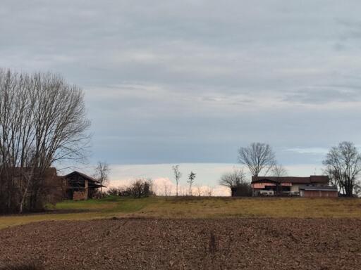 vista Monte Rosa dietro cascina rosa
camminando stamattina