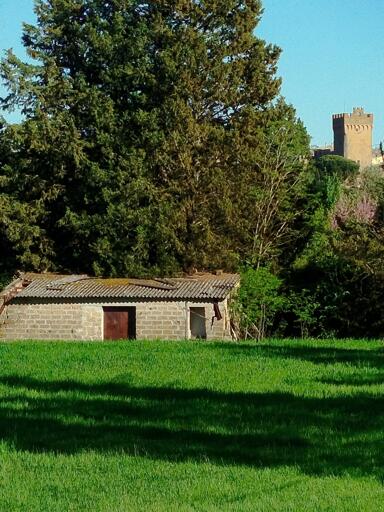 Proceno, al confine tra Lazio e Toscana. Le sue campagne sono verdi e racchiudono scorci di grande bellezza come qui: un vecchio casolare e la torre del castello