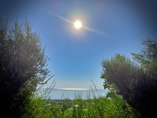 Paesaggio naturale con il sole brillante nel cielo blu, alberi verdi e vista sul mare all'orizzonte.