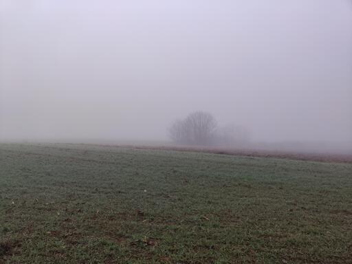 camminando in campagna verso l'inverno