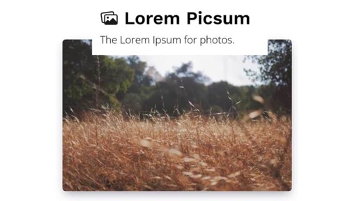 Lorem Picsum: il servizio open source per immagini di riempimento