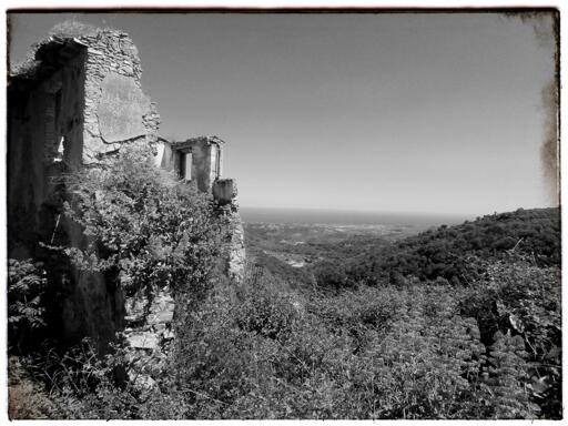 Foto in bianco e nero che mostra in lontananza il panorama boschivo. In lontananza si vede il mare. In primo piano, i ruderi di una casa abbandonata e in rovina.