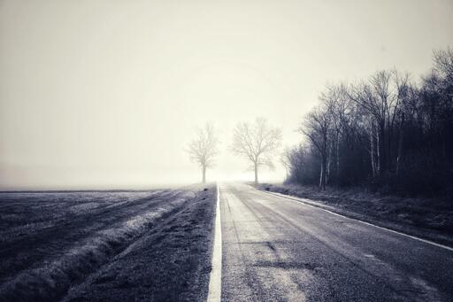 Una strada in un giorno di nebbia.
Cercando un punto di equilibrio tra il bianco del cielo ed il nero della terra.
Due alberi ai lati opposti della strada segnano un confine verso l'ignoto.