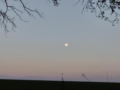 vista della luna all'imbrunire
ph. 2 gen.2026