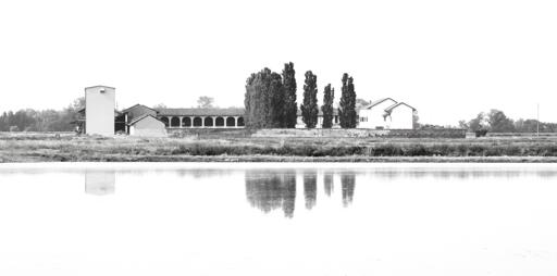 Una cascina, dei pioppi, una casa - probabilmente un'azienda agricola si riflette parzialmente sullo specchio d'acqua di una risaia.
Foto in bianco e nero.