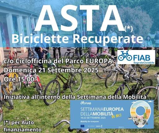 Volantino dell'evento.

Foto di alcune bici su un prato. In sovrimpressione le informazioni del toot