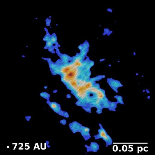 Un'immagine ALMA di esempio di una regione di formazione stellare massiccia ricavata dall'indagine. Il colore di sfondo indica l'intensità della polvere a 1,3 mm. I motivi lineari sovrapposti, generati utilizzando il metodo della convoluzione dell'integrale di linea, indicano l'orientamento del campo magnetico. Il fascio sintetizzato di ALMA è rappresentato da un'ellisse bianca nell'angolo in basso a sinistra. Una barra di scala di 0,05 pc è mostrata nell'angolo in basso a destra.