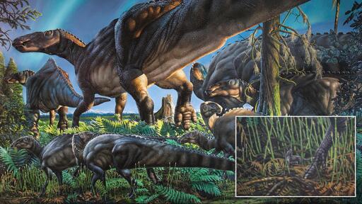 Una ricostruzione del paleoambiente del Cretaceo superiore in Alaska.