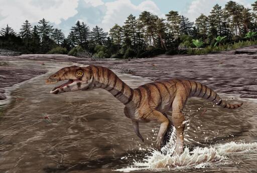 Labrujasuchus expectatus si muoveva nel mondo su due zampe, con braccia minuscole e una bocca senza denti che terminava in un becco.